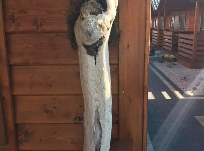 別荘 Letnisko Arkadia