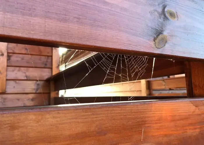 別荘 Letnisko Arkadia