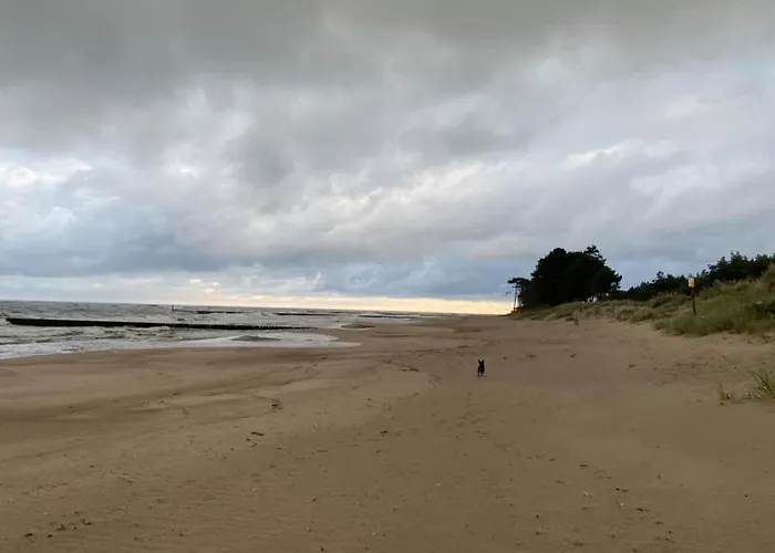 Letnisko Arkadia 別荘 *