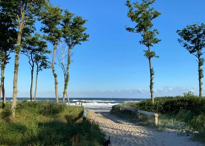 別荘 Letnisko Arkadia