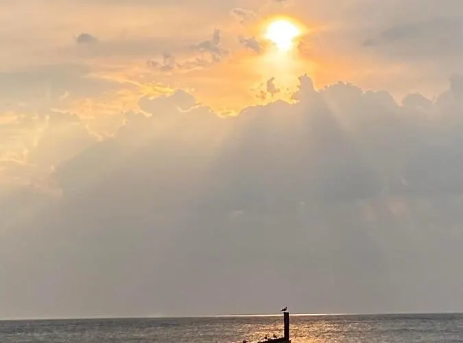 Letnisko Arkadia 別荘